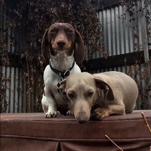 Meet your Posher, Jacob